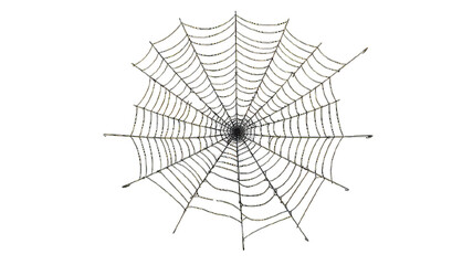 Spider Web isolated on white png transparent background
