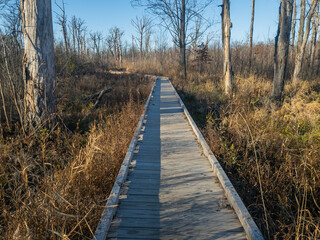 Wooden Boardwalk in Belle Isle in Detroit, Michaigan near the Woodside Shelter off the Iron Belle trail