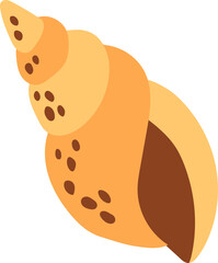 Cute hand drawn seashell. Strombus pugilis