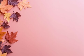 Fototapeta premium Autumn leaves in various colors on a pink backdrop