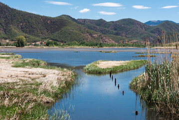 The reed marshes by the Lugu Lake in China