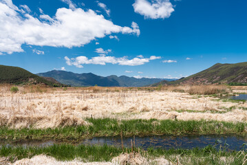 The reed marshes by the Lugu Lake in China