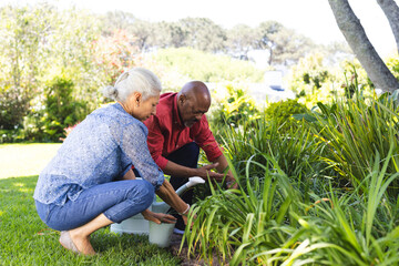Diverse senior couple gardening in sunny garden - Powered by Adobe