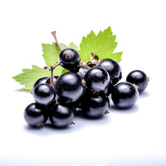 Fototapeta premium Black currant isolated on white background. Currant with leaf on white.