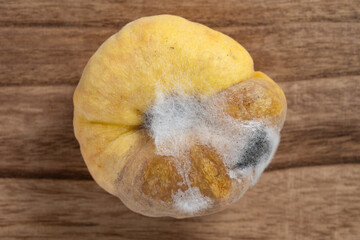 top view badly rotten and moldy peento