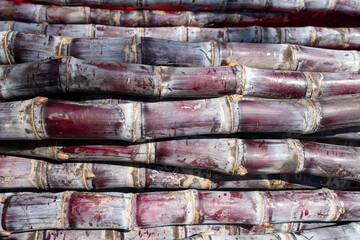 top view a few pieces of sugarcane horizontal composition