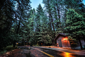 A Cabin by the Road on a Rainy Evening in Yosemite National Park, California