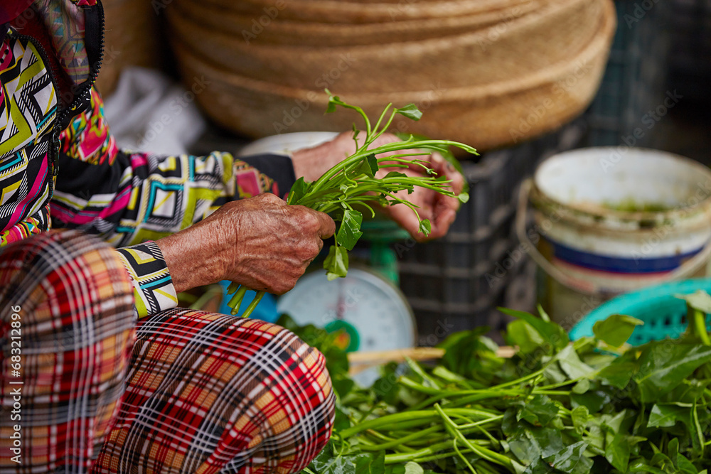 Poster close-up of hands holding vegetables at a traditional market