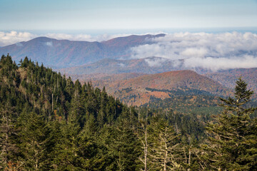 The Great Smoky Mountains National Park