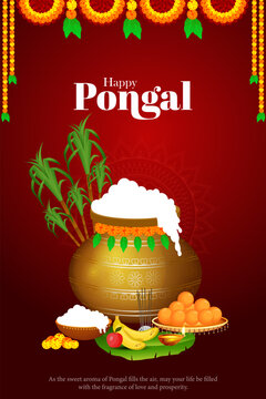 Pongal is a Tamil harvest festival celebrated in South India, particularly in Tamil Nadu.
