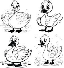 Swan bird animal vector stock, coloring page