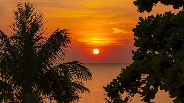 Beautiful Sunset at The Beach, Summer Landscape Time Lapse Amazing Colors, Light Beam Shining Through the Cloudscape. Sun Setting Down Over The Ocean. Palm Tree Silhouette Against Orange Sunset Sky.