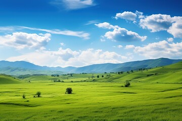 Fototapeta premium Beautiful landscape with green meadows and blue sky with clouds.