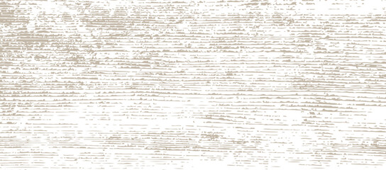 Background with texture of old wood