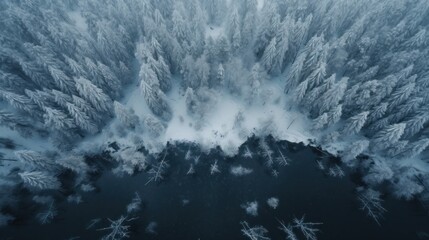 An aerial view of a snowy forest