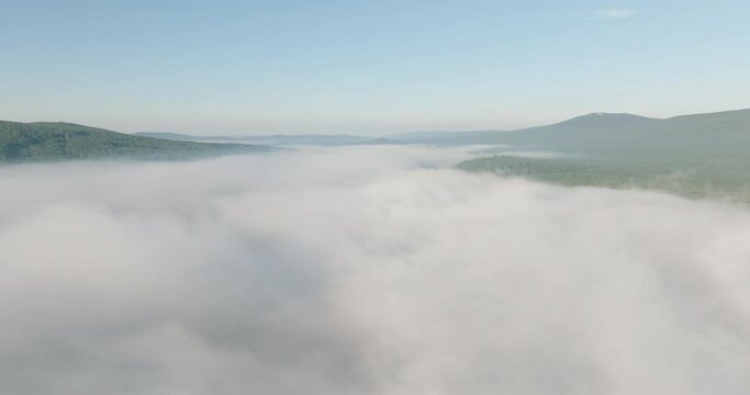 Flying over the fog under the river and forest and blue sky over the top of the inversion cloud level on a bright sunny day. Aerial drone wide view at summer sunrise