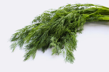 Fresh green dill on white.
