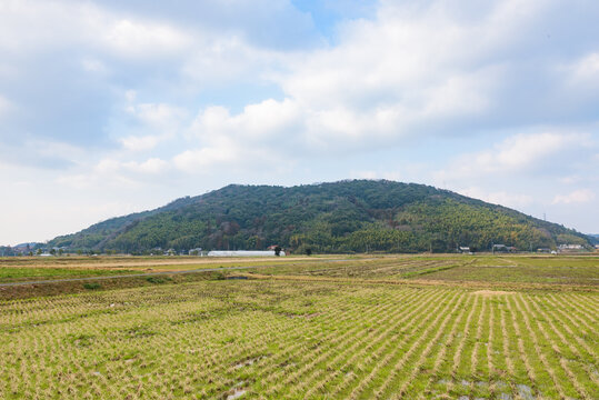 Typical rice pady field landscape in Japan