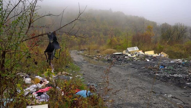 Garbage and plastic waste by the forest road - (4K)