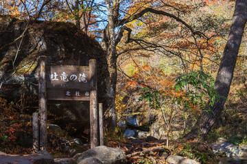 「吐竜（どりゅう）の滝」の表示板／日本山梨県北杜市