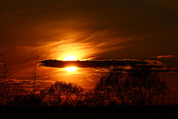 Bright fiery sunset with silhouettes of trees and a cloud covering the sun