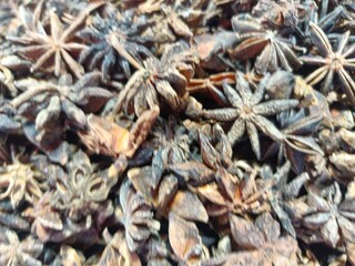 Star anise is a distinctive spice known for its star-shaped appearance and strong, licorice-like flavor