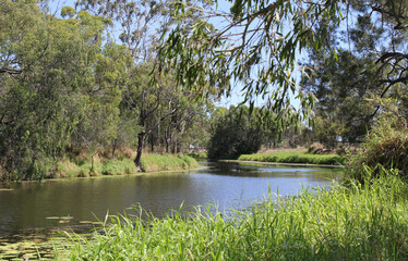 Police Creek with water, grass and trees in Gladstone, Queensland, Australia - obrazy, fototapety, plakaty