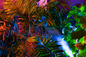 Fototapeta na wymiar Creative fluorescent color layout made of tropical leaves. Flat lay neon colors. Nature concept.