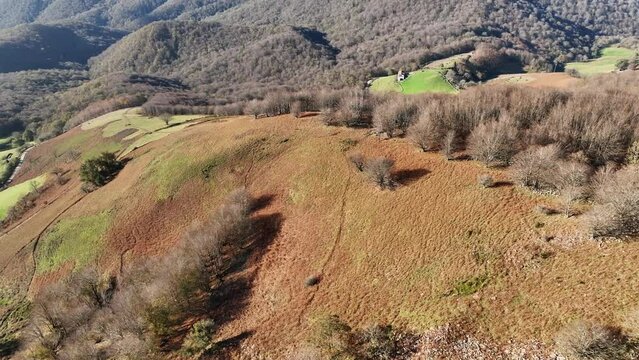 Advanced autumn in the Baztan Valley, Navarra