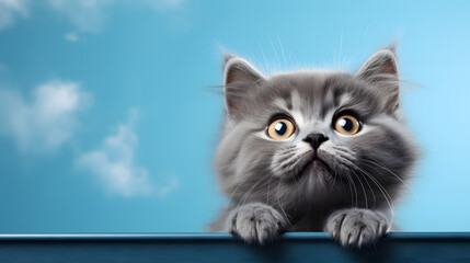 Cute banner with a cat looking up on solid blue background