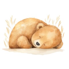 watercolor illustration of a cute sleeping bear on white background