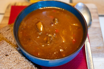 German food, thick, rich goulash meat soup served hot in bowl in old German cafe in countryside