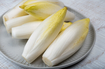 Fresh organic chicory endive salad ready to eat, traditional food in Belgium and the Netherlands