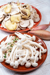 White shimeji edible mushrooms native to East Asia, buna-shimeji is widely cultivated and rich in umami tasting compounds. Mushrooms mix for cooking.