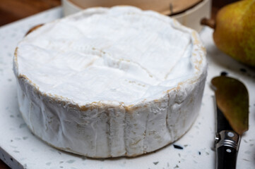French soft Camembert cheese, original Camembert de Normandie, with white mold