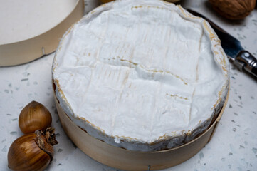 French soft Camembert cheese, original Camembert de Normandie, with white mold