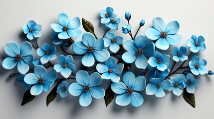 Set Blue Forgetmenot Flowers, HD, Background Wallpaper, Desktop Wallpaper