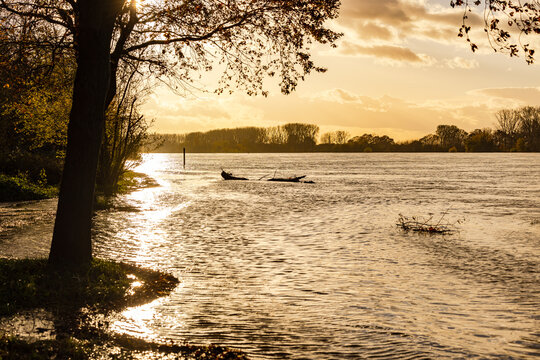 Idyll and backlight with sun at high water on the river Rhine