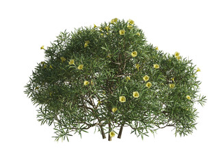 These images are used to decorate the house, replace or create a forest, hope you like them