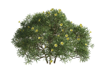 These images are used to decorate the house, replace or create a forest, hope you like them