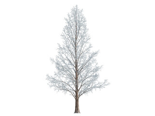 These images are used to decorate the house, replace or create a forest, hope you like them