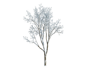 These images are used to decorate the house, replace or create a forest, hope you like them