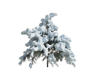 These images are used to decorate the house, replace or create a forest, hope you like them