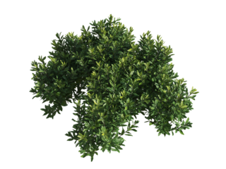 These images are used to decorate the house, replace or create a forest, hope you like them