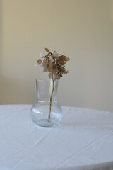 Jarrón transparente con flor de hortensia seca sobre mesa de mantel blanco con arrugas y fondo...