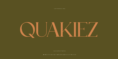 Elegant Font Uppercase Lowercase and Number. Classic Lettering Minimal Fashion Designs. Typography modern Serif fonts regular decorative vintage concept. vector illustration