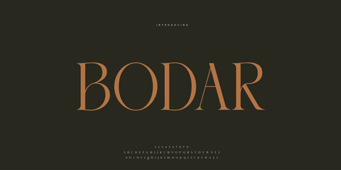 Elegant Font Uppercase Lowercase and Number. Classic Lettering Minimal Fashion Designs. Typography modern Serif fonts regular decorative vintage concept. vector illustration