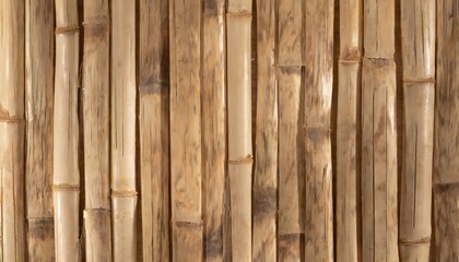 Textura de madera de bambú - obrazy, fototapety, plakaty