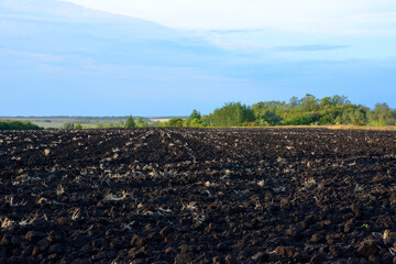 plowed field with green trees and blue sky copy space 