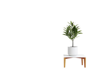 Botanical Table Companion plant Isolated on Transparent Background PNG.